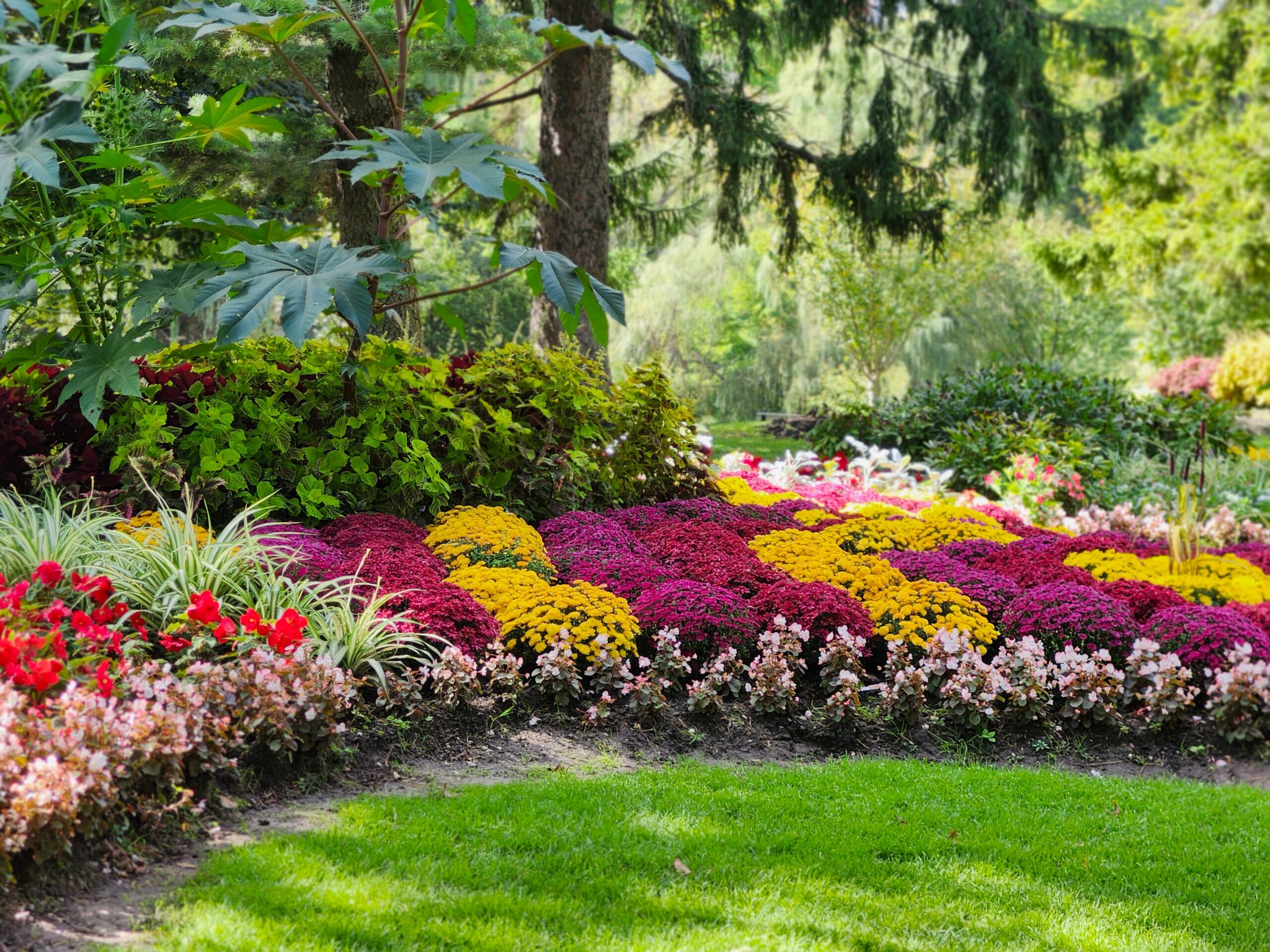 Landscaping